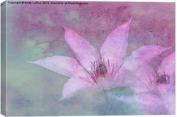 Heavenly Petals Canvas Print by Betty LaRue