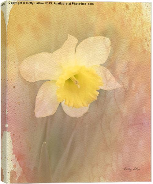 Dancing With The Daffodils Canvas Print by Betty LaRue