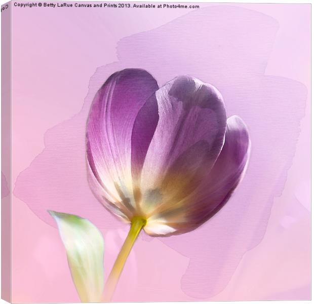 Blissfully Purple Canvas Print by Betty LaRue