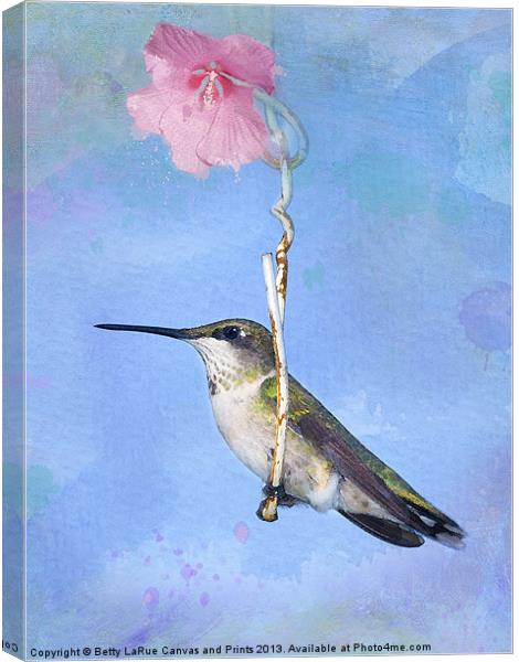 Hummingbirds Like to Swing Canvas Print by Betty LaRue
