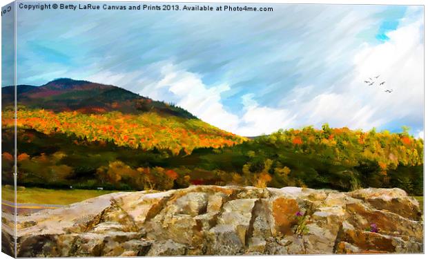 Adirondack Autumn Canvas Print by Betty LaRue