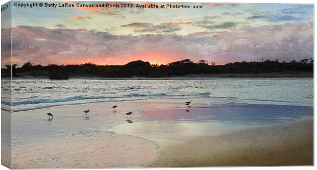 Coastal Beauty Canvas Print by Betty LaRue