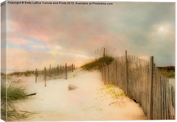 Sunrise on the beach Canvas Print by Betty LaRue