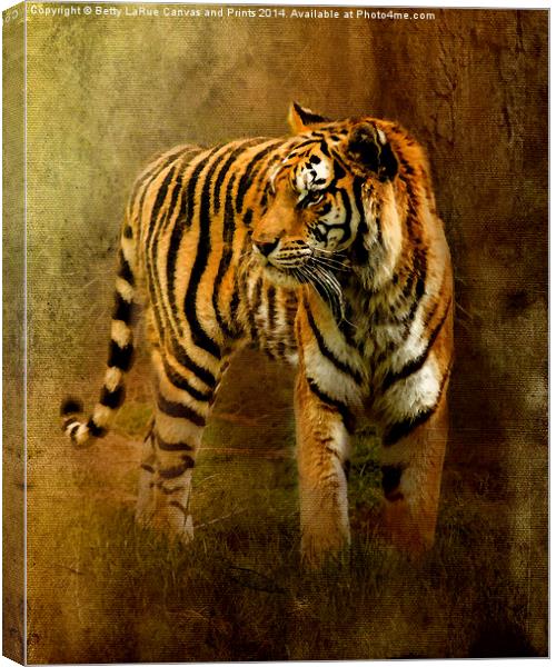 On The Hunt Canvas Print by Betty LaRue
