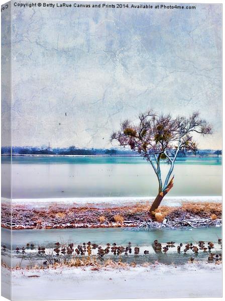 Duck Dynasty Canvas Print by Betty LaRue