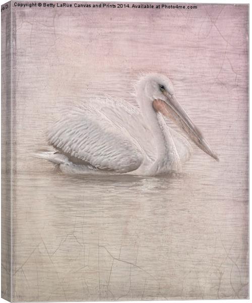 Pelican in Pastel Canvas Print by Betty LaRue