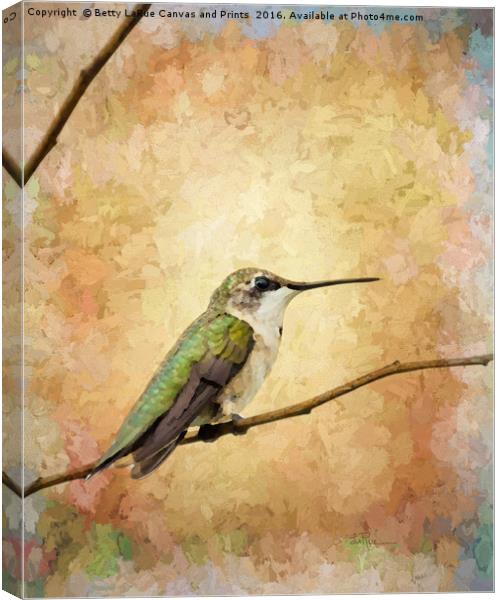 Afternoon Rest Canvas Print by Betty LaRue