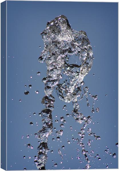 Water - Whatzit Canvas Print by Craig Mansell