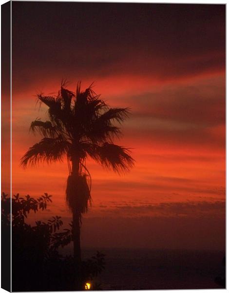 Palm tree at sunset Canvas Print by Marcela Mikowski