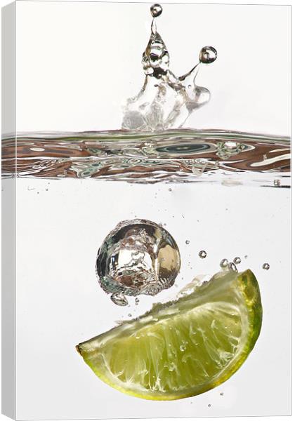 Lime Splash Canvas Print by Alan Todd