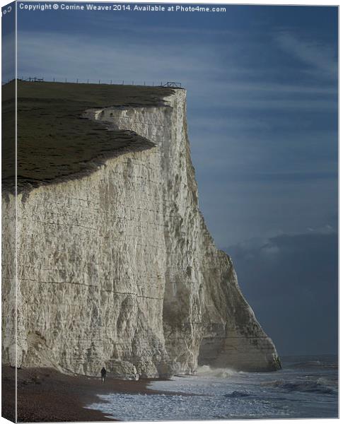 Seven Sisters in the Winter Sun Canvas Print by Corrine Weaver