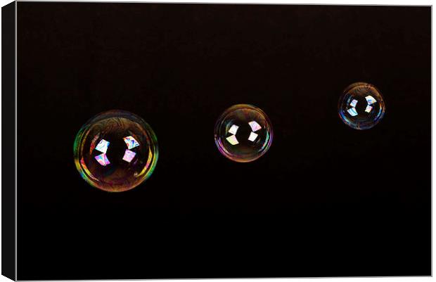 Fun with Bubbles Canvas Print by Corrine Weaver