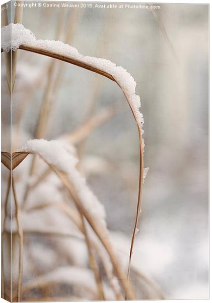 Winter snow 2  Canvas Print by Corrine Weaver