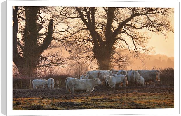 Weston Subedge Canvas Print by Andrew Roland