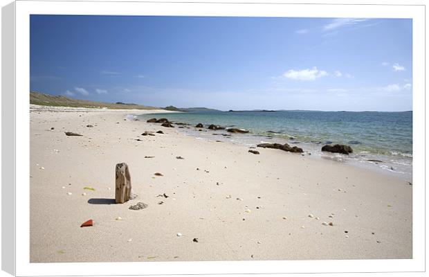 Tresco Canvas Print by Andrew Roland