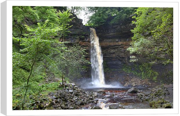 Hardraw Force Canvas Print by Andrew Roland