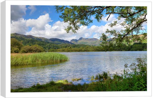 Elterwater Canvas Print by Andrew Roland