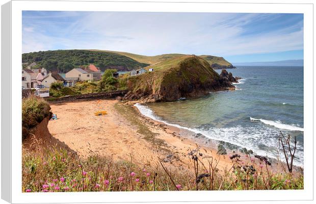 Hope Cove Canvas Print by Andrew Roland