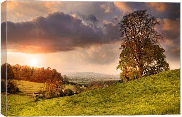 Cotswolds Sunset Canvas Print by Andrew Roland