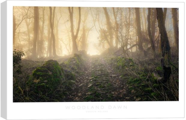 Woodland Dawn Canvas Print by Andrew Roland