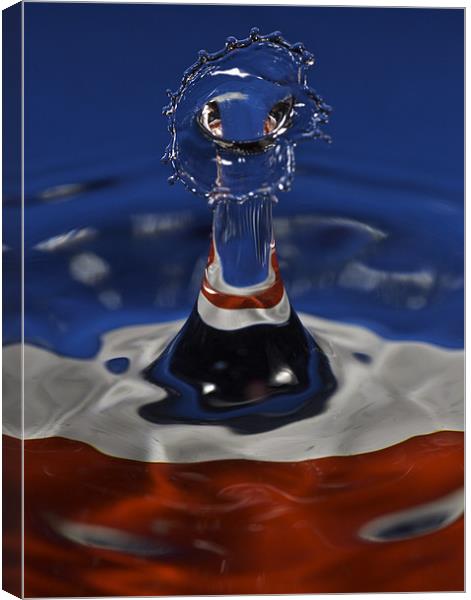 Red, White and Blue Canvas Print by Carl Floodgate