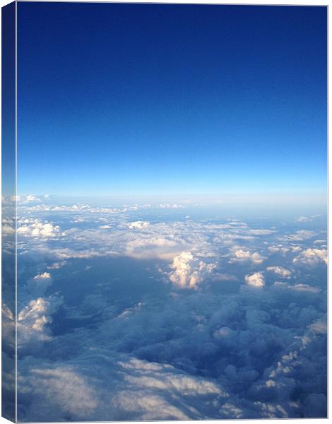 Flying over the Alps Canvas Print by Liam Sims