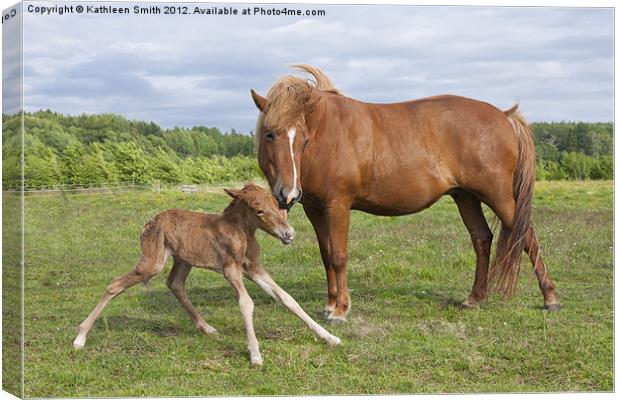 Foal first time standing Canvas Print by Kathleen Smith (kbhsphoto)