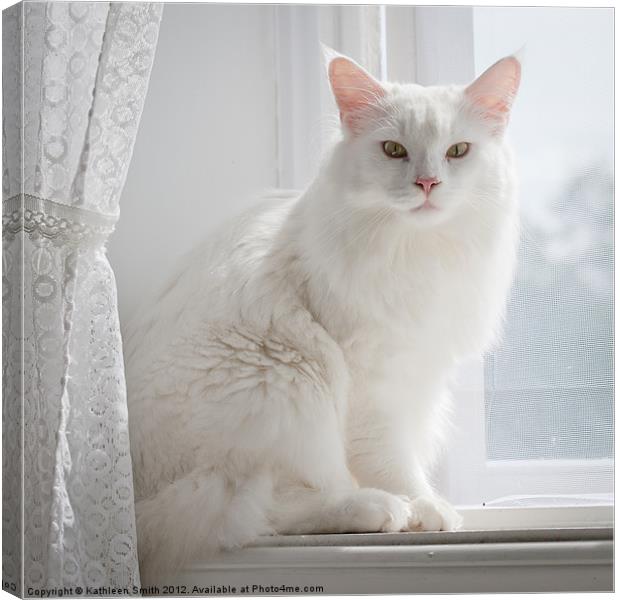 White cat on windowsill Canvas Print by Kathleen Smith (kbhsphoto)