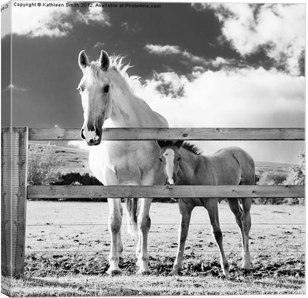 Mare and foal behind fence Canvas Print by Kathleen Smith (kbhsphoto)