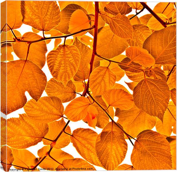 Orange leaves Canvas Print by Kathleen Smith (kbhsphoto)