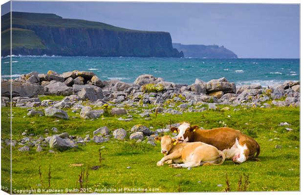 Cow and calf in Ireland Canvas Print by Kathleen Smith (kbhsphoto)
