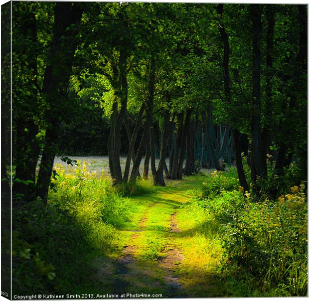 Old tree-lined path Canvas Print by Kathleen Smith (kbhsphoto)
