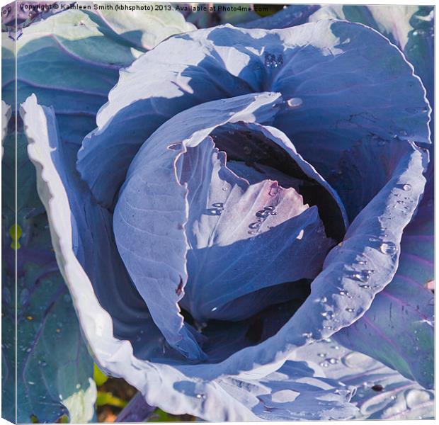 Red cabbage Canvas Print by Kathleen Smith (kbhsphoto)