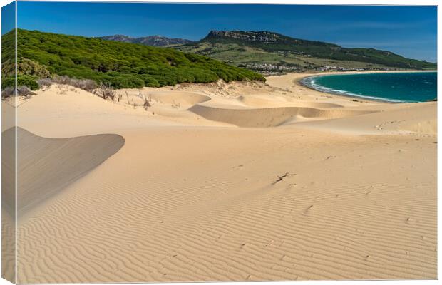 Bolonia Beach Costa de la Luz Canvas Print by peter schickert