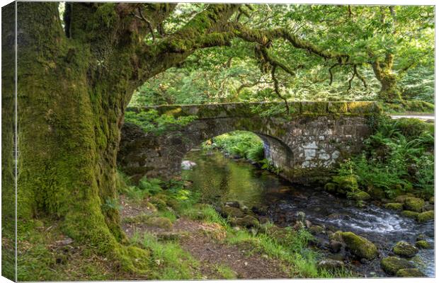 Norsworthy Bridge Dartmoor  Canvas Print by peter schickert