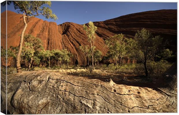Uluru or Ayers Rock Canvas Print by peter schickert