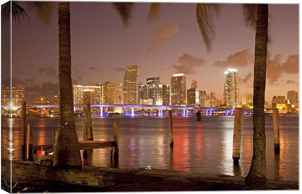 Downtown Miami,  Florida, Canvas Print by peter schickert