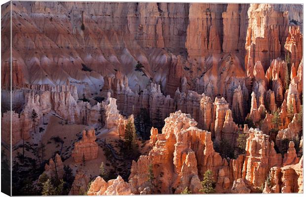 Bryce Canyon Canvas Print by peter schickert
