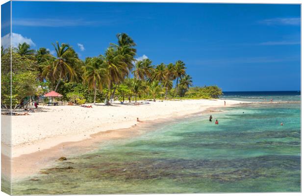 Guadeloupe Beach Canvas Print by peter schickert