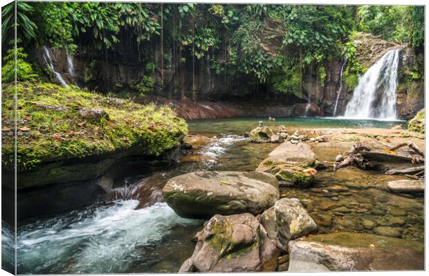 Waterfall Guadeloupe Canvas Print by peter schickert