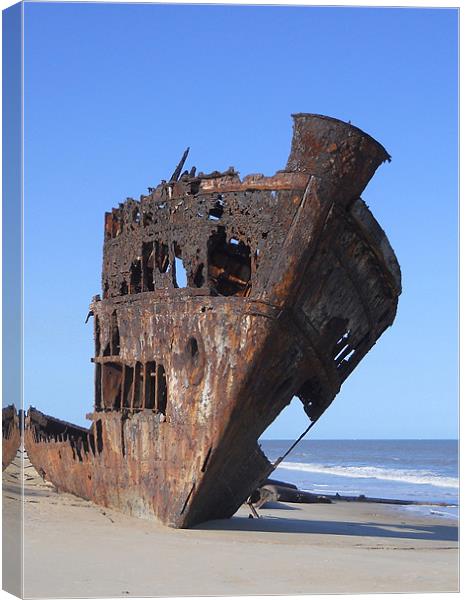 Ship Wreck. Canvas Print by Kitty 