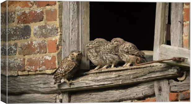 Family Portrait Canvas Print by Sue MacCallum- Stewart