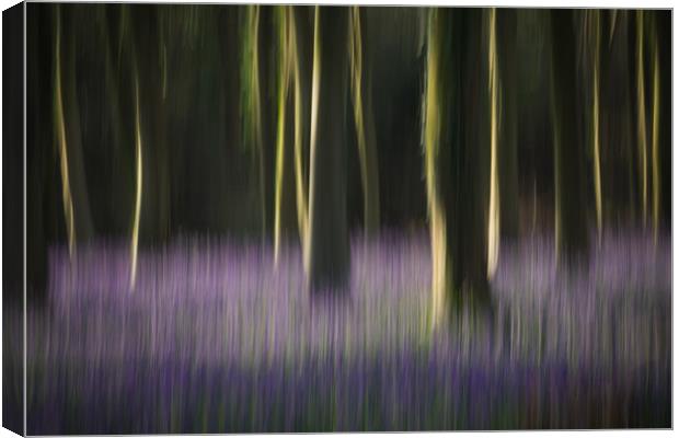 Woodland Blur Canvas Print by Sue MacCallum- Stewart