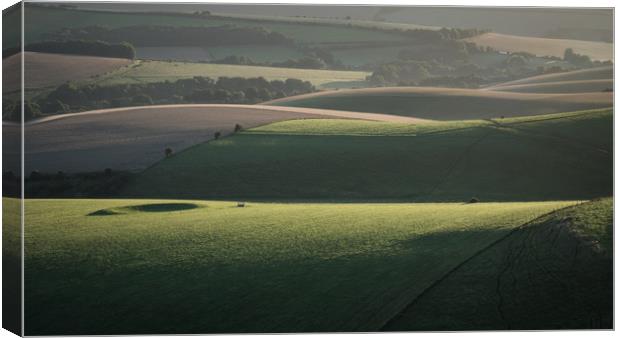 Early Morning Light Canvas Print by Sue MacCallum- Stewart