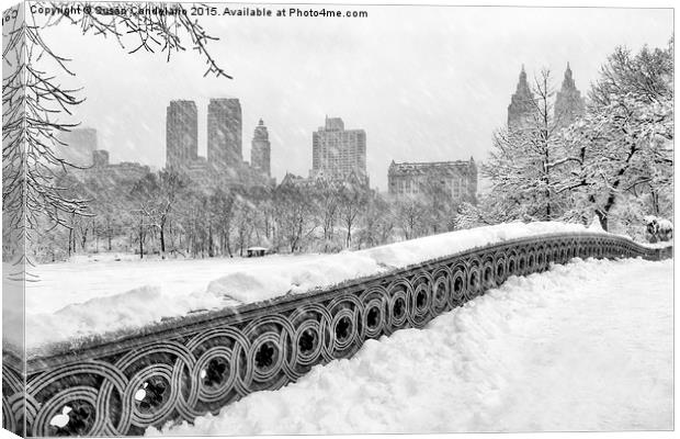 Snow In Central Park NYC Canvas Print by Susan Candelario