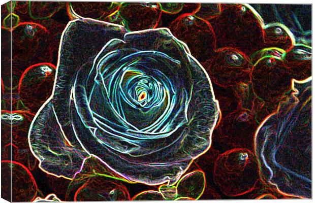 GLOWING ROSE Canvas Print by Gillian Sweeney