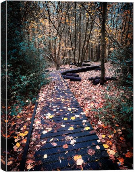 Moses Gate Country Park Woodland Walk Canvas Print by Jonathan Thirkell