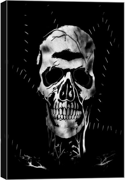 The skull Canvas Print by Jonathan Thirkell