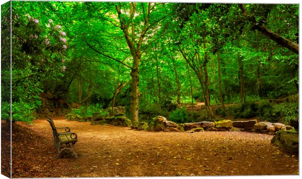 A Bench With A View Canvas Print by Jonathan Thirkell