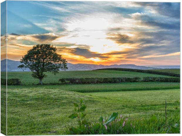 Welsh Landscape Canvas Print by Jonathan Thirkell